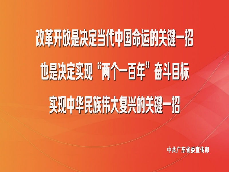 习近平总书记视察广东重要讲话精神宣传画