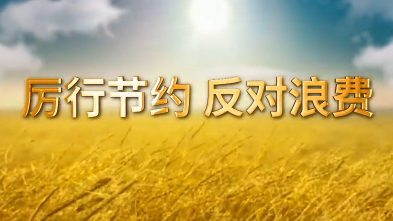 厉行节约 反对浪费