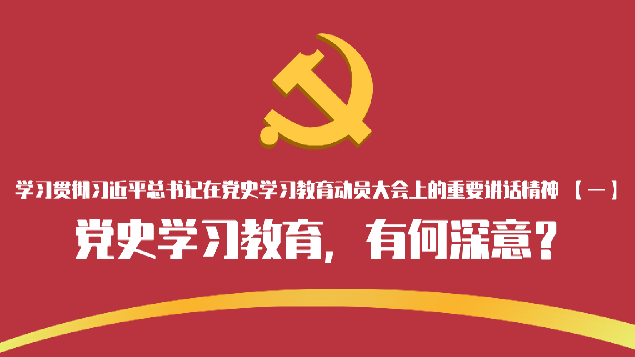 学习贯彻习近平总书记在党史学习教育动员大会上的讲话精神