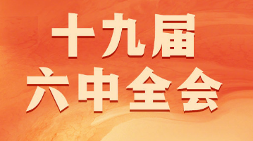 党的十九届六中全会精神（要点）