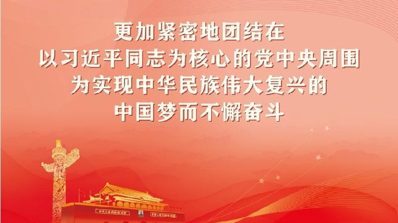 党的十九届六中全会宣传标语海报