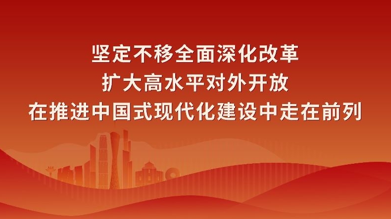 学习宣传贯彻习近平总书记视察广东重要讲话重要指示精神