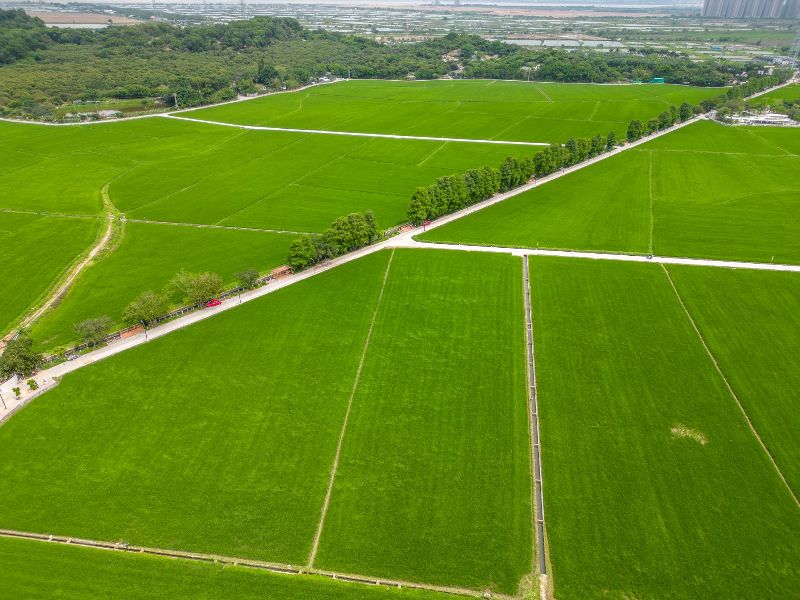 DJI_0571(3039604)-20230915160023.jpg
