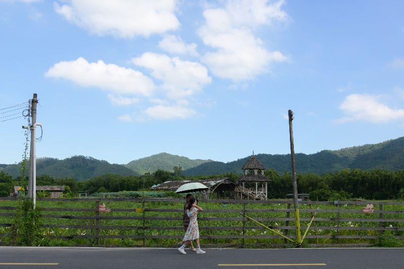 DSC_2316(3269837)-20230922151619.JPG
