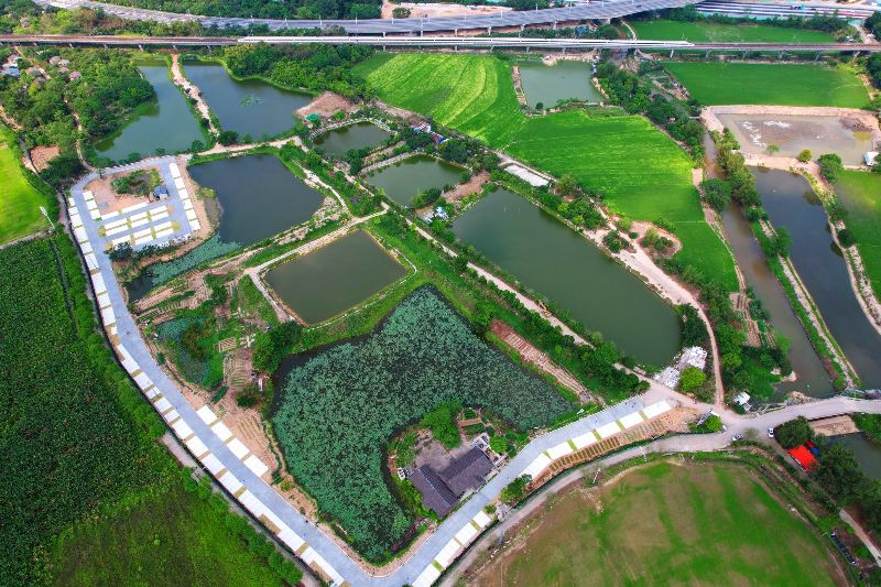 文明村镇南朗街道崖口村新建村道8(3703054)-20240422110249.jpg