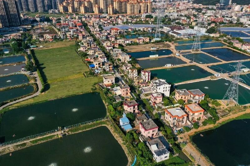 阜沙镇阜东村2.jpg