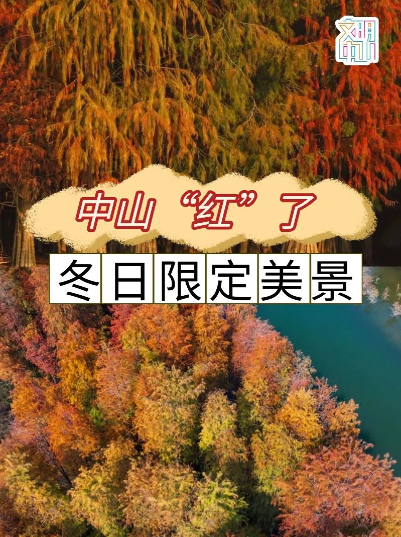 影视电影台词无痕拼图四宫格小红书封面 (1).jpg