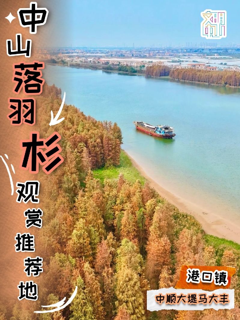稿定设计-1.jpg