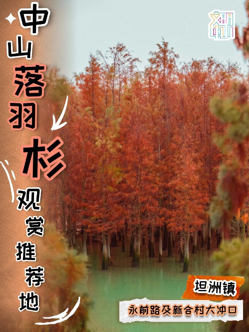 稿定设计-2.jpg