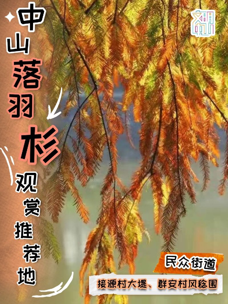 稿定设计-3.jpg
