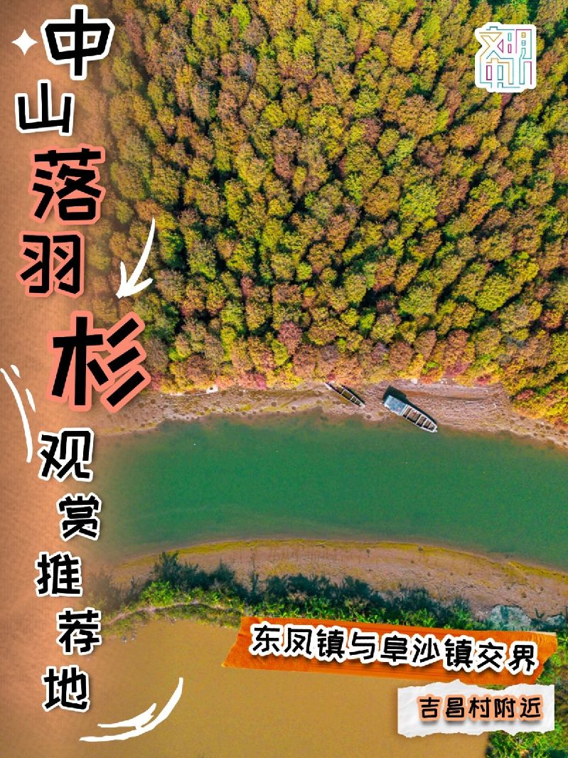 稿定设计-4.jpg