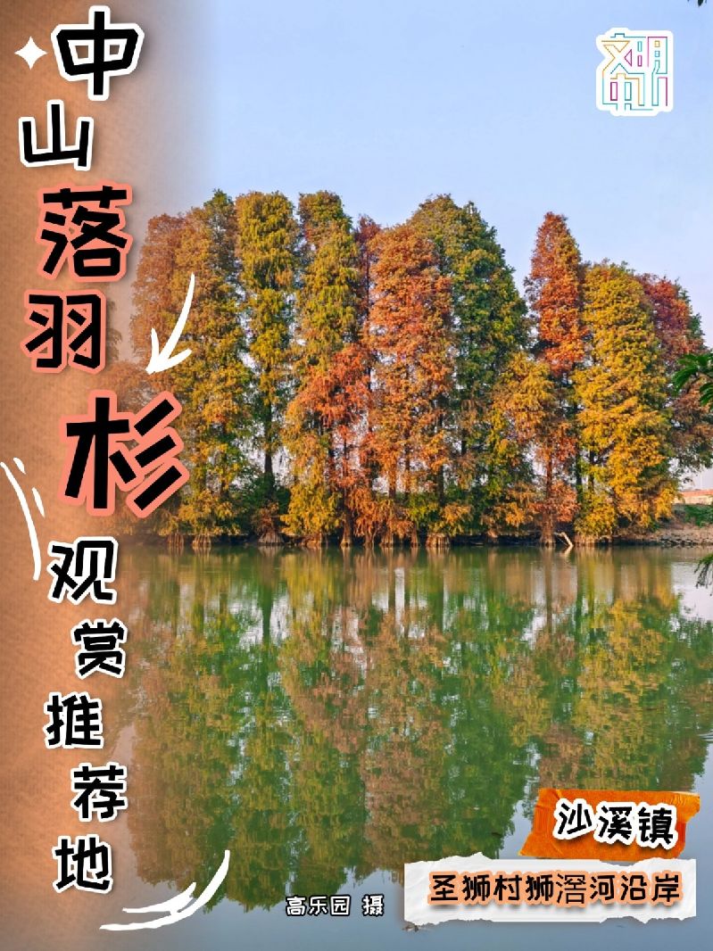 稿定设计-5.jpg