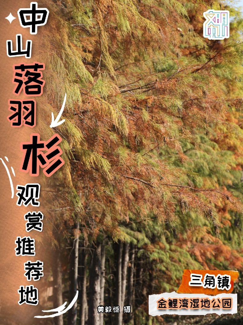 稿定设计-6.jpg