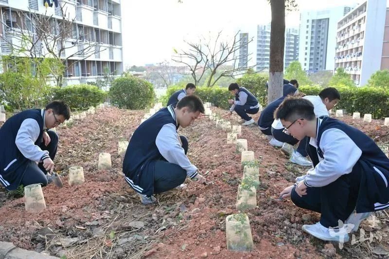 微信图片_20250317145852.jpg