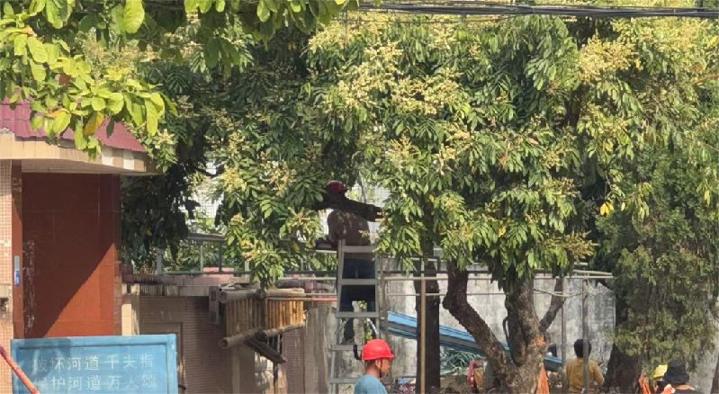 微信图片_20250328164944.png