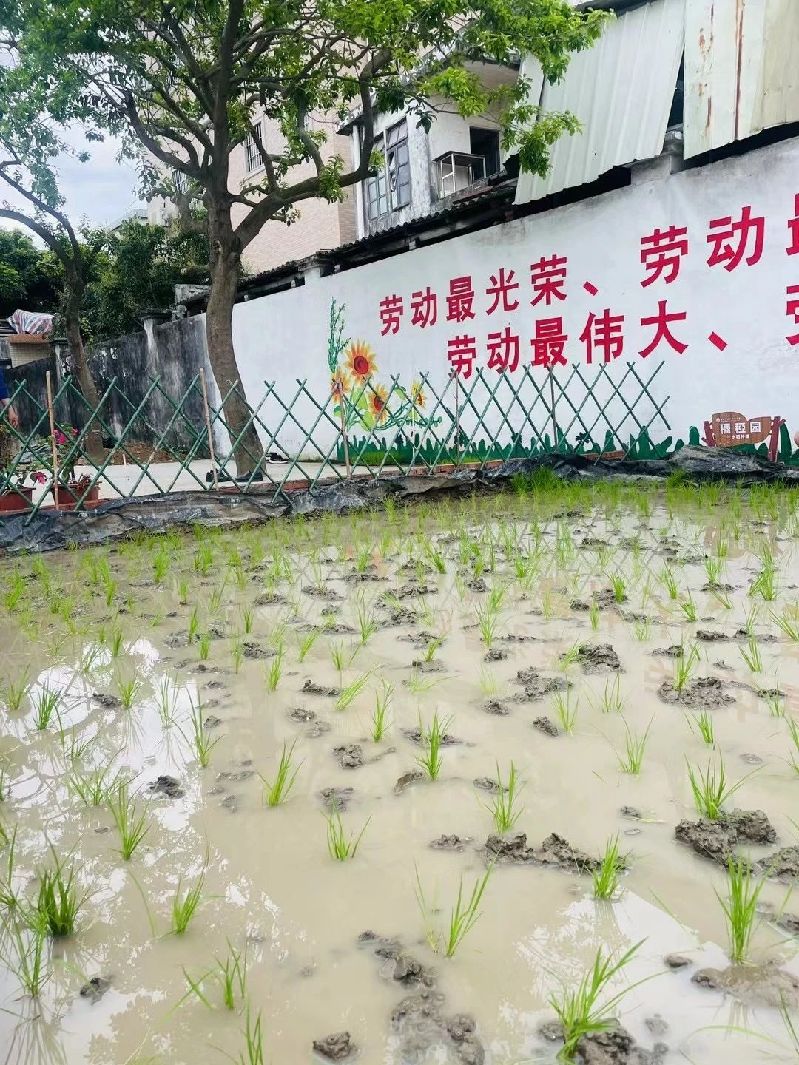 微信图片_20250401155956.jpg