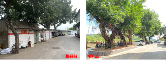 微信图片_20250711151238.png
