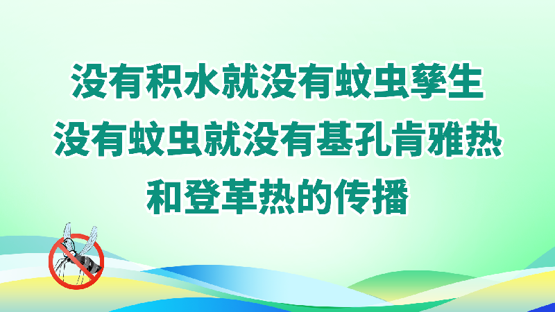 3.没有积水就没有蚊虫孳生，没有蚊虫就没有基孔肯雅热和登革热的传播.png